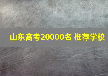 山东高考20000名 推荐学校